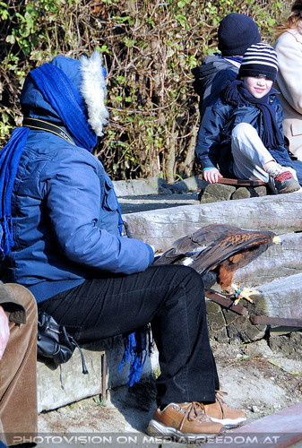 Falknereivorf�hrung 21: Gabriele P.