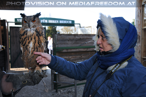 Falknereivorf�hrung 35: Gabriele P.