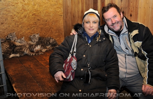 Die weissen Tiger Vierlinge 61