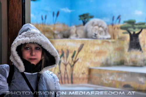 L�we 09: Gabriele P.