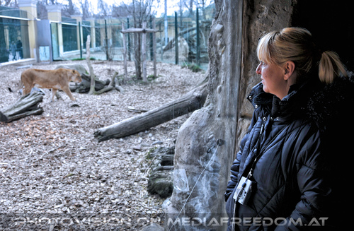 L�wenrudel 11: Gabriele P.