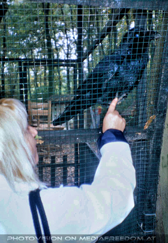 M�rchenzoo 01: Gabriele P.