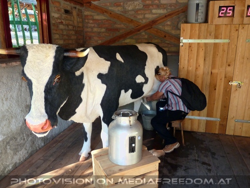 Melkbewerb: Gabriele P.