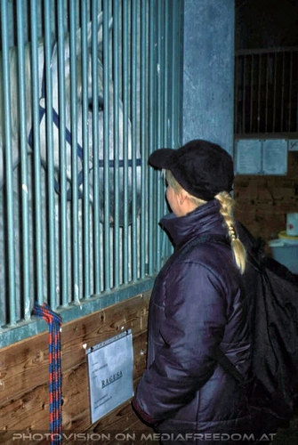 Stallung 2: Gabriele P.