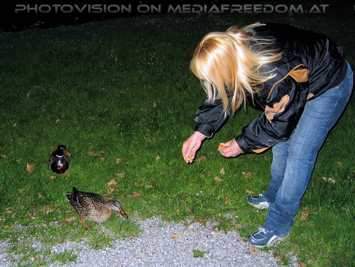 Traunkirchen 10: Gabriele P.