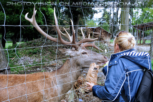 Wild 02: Gabriele P.