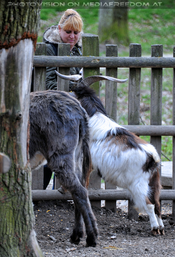 Wildpark 22: Gabriele P.