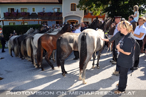 Rast beim Gasthof Wiendl 09