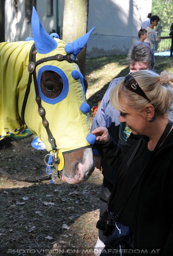 Ritterturnier zu Pferde 19