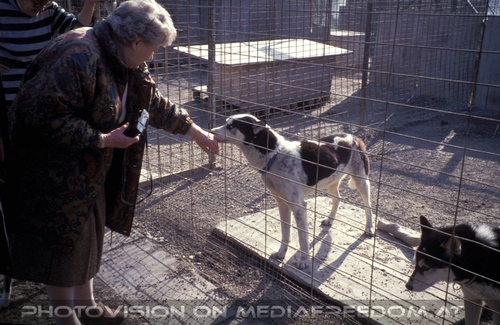 Projekttag - Bild 1: Gertrude Swoboda