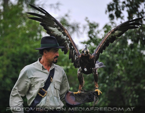 Falkner mit Adler