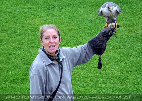 Greifvogelflugschau 20