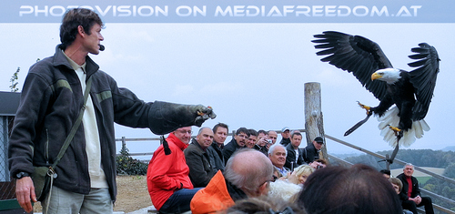 Greifvogelflugschau 32
