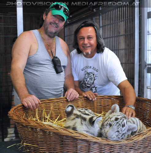 Wei�e Tigerbabys Nanu und Nena 24: Herbert Eder,Charly Swoboda