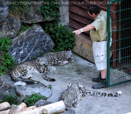 Schneeleoparden 5: Herbert Eder