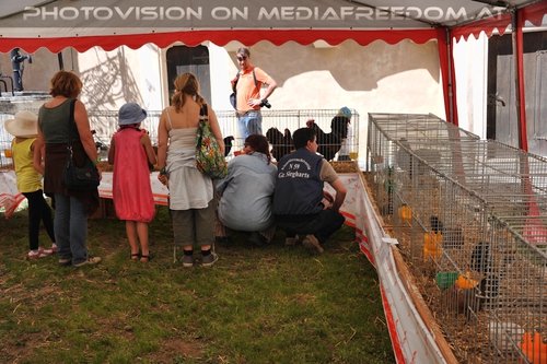 Kleintierausstellung