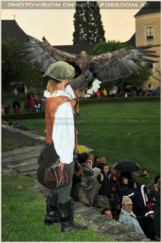 Der Adler ist gelandet - Greifvogelshow