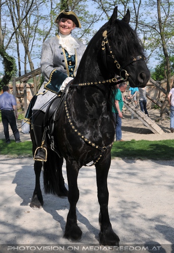 Friesen Pr�sentation