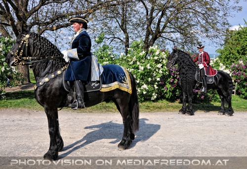 Friesen Pr�sentation 04