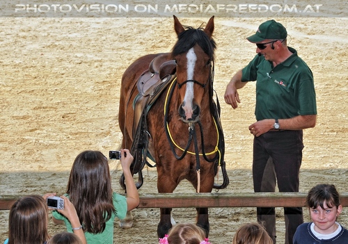 Die Pr�sentationen 44