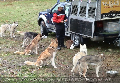 Der Musher und sein Team