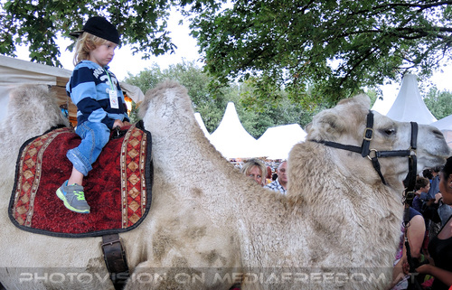 Afrikanischer Bazar 21: Kamel  