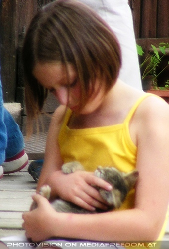 Gut beh�tet: Katze