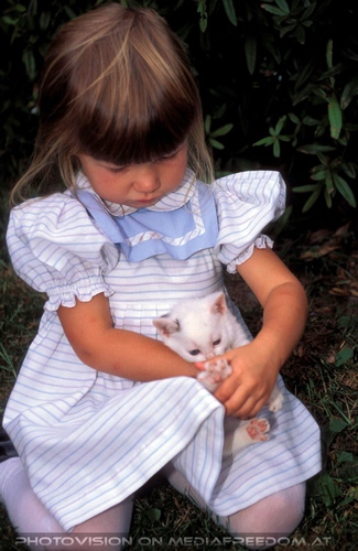 Kind mit wei�em Katzenbaby