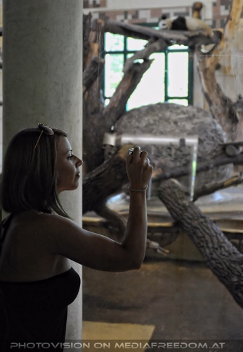 Kleiner gro�er Panda Motiv