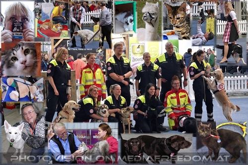 Tiere, Stars & Attraktionen: Leonid Beljakov, Gabriele P., Charly Swoboda