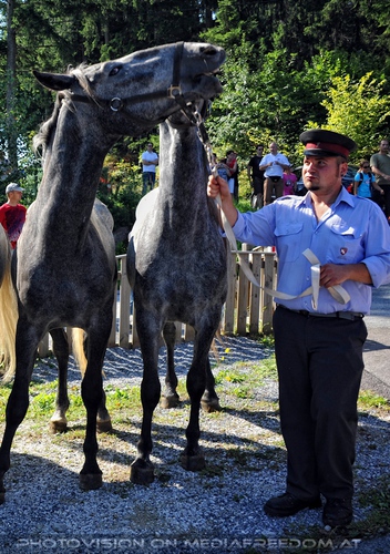 Rast beim Gasthof Wiendl 03