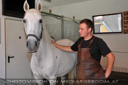 Lipizzaner Heimat 14