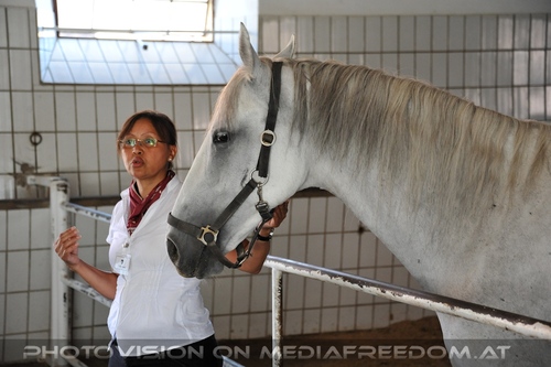 Lipizzaner Heimat 15