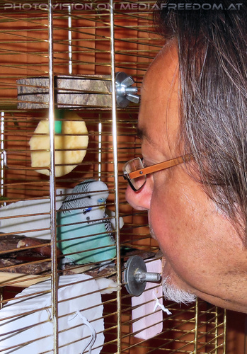 Relax Lounge 02: Lucky,Charly Swoboda