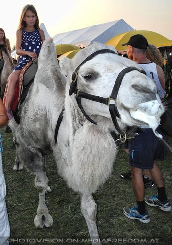 Somewhere in Africa again - Tour Pix 07