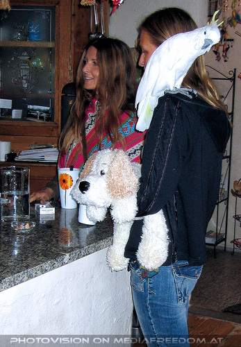 1000 sch�ne Dinge 08