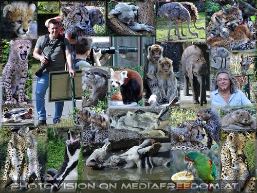 Mit wahren Freunden...: Markus P., Charly Swoboda