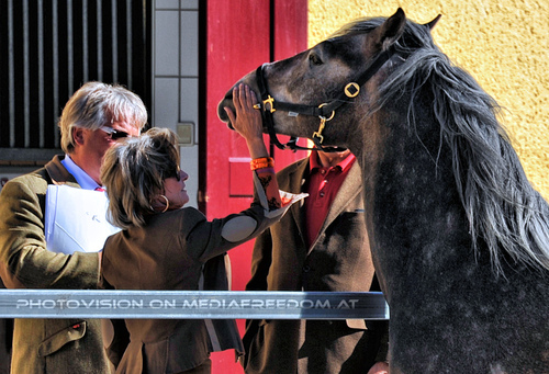Lipizzaner Heimat 55: Max Dobretsberger,Elisabeth G�rtler