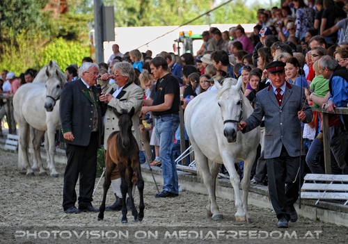 Die Lipizzaner Heimat: Max Dobretsberger