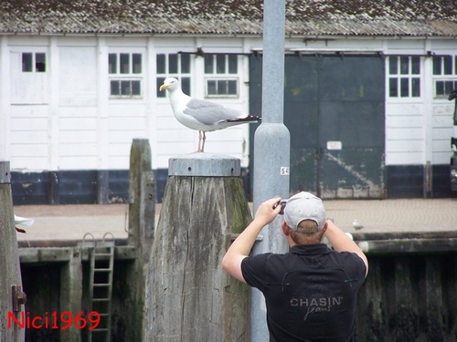 Hab Dich: Mensch oder Tier