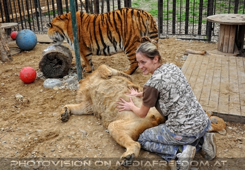 Mit L�wen und Tiger 08