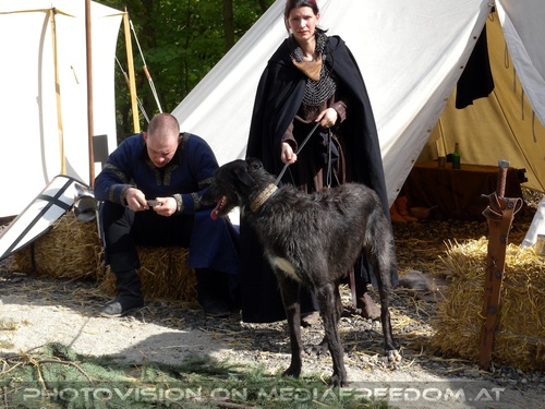 Hexenkunst und Rittergunst 63