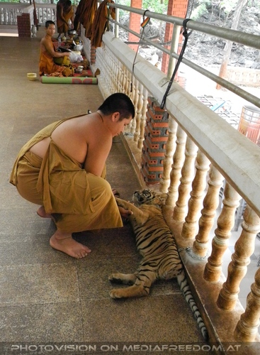 The B-Day of the Tigerman Pix 056: M�nch