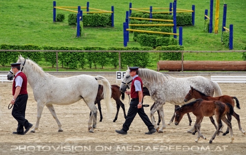 Die Pr�sentationen 13