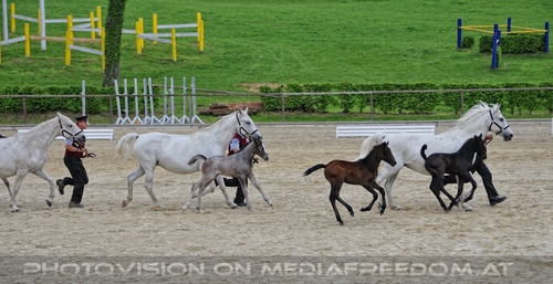 Die Pr�sentationen 22