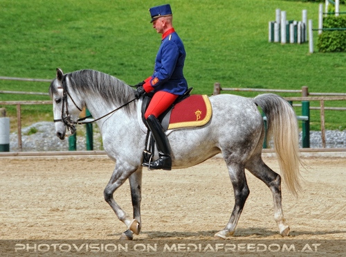 Die Pr�sentationen 42