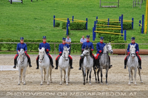 Die Pr�sentationen 51