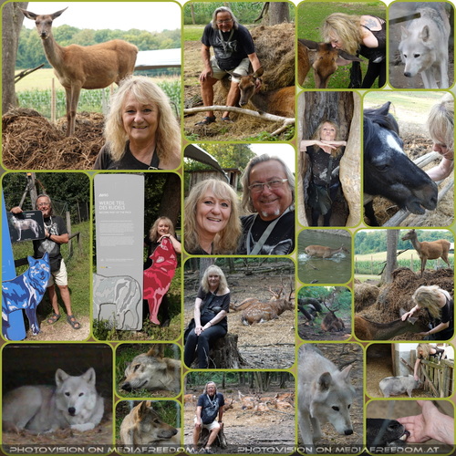 Aus Liebe zu den Tieren