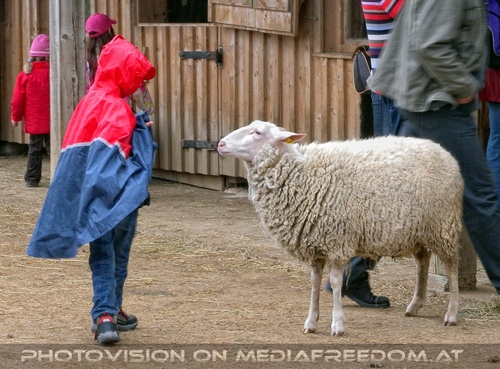 Das Schweigen des...