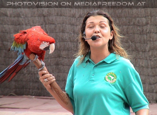 Papageien Show 2